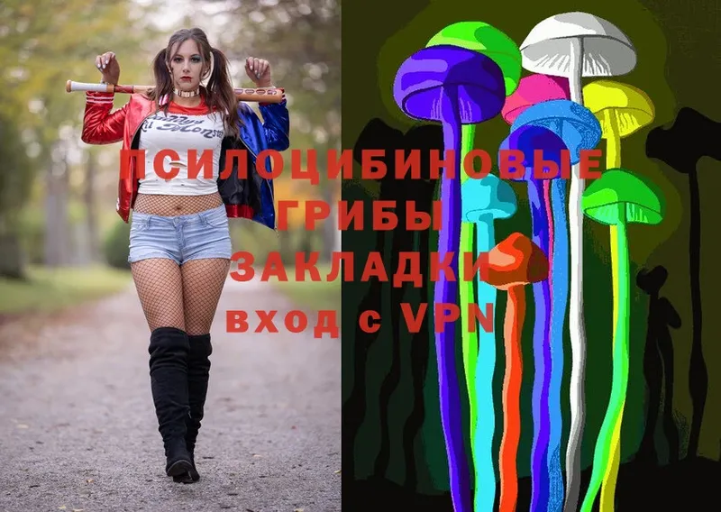 сайты даркнета как зайти  Цоци-Юрт  Псилоцибиновые грибы Cubensis 